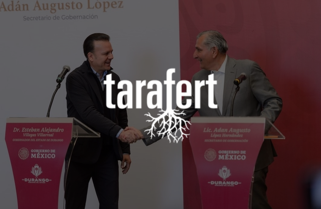 Proyectan llegada de Tarafert a La Laguna a principios de 2024