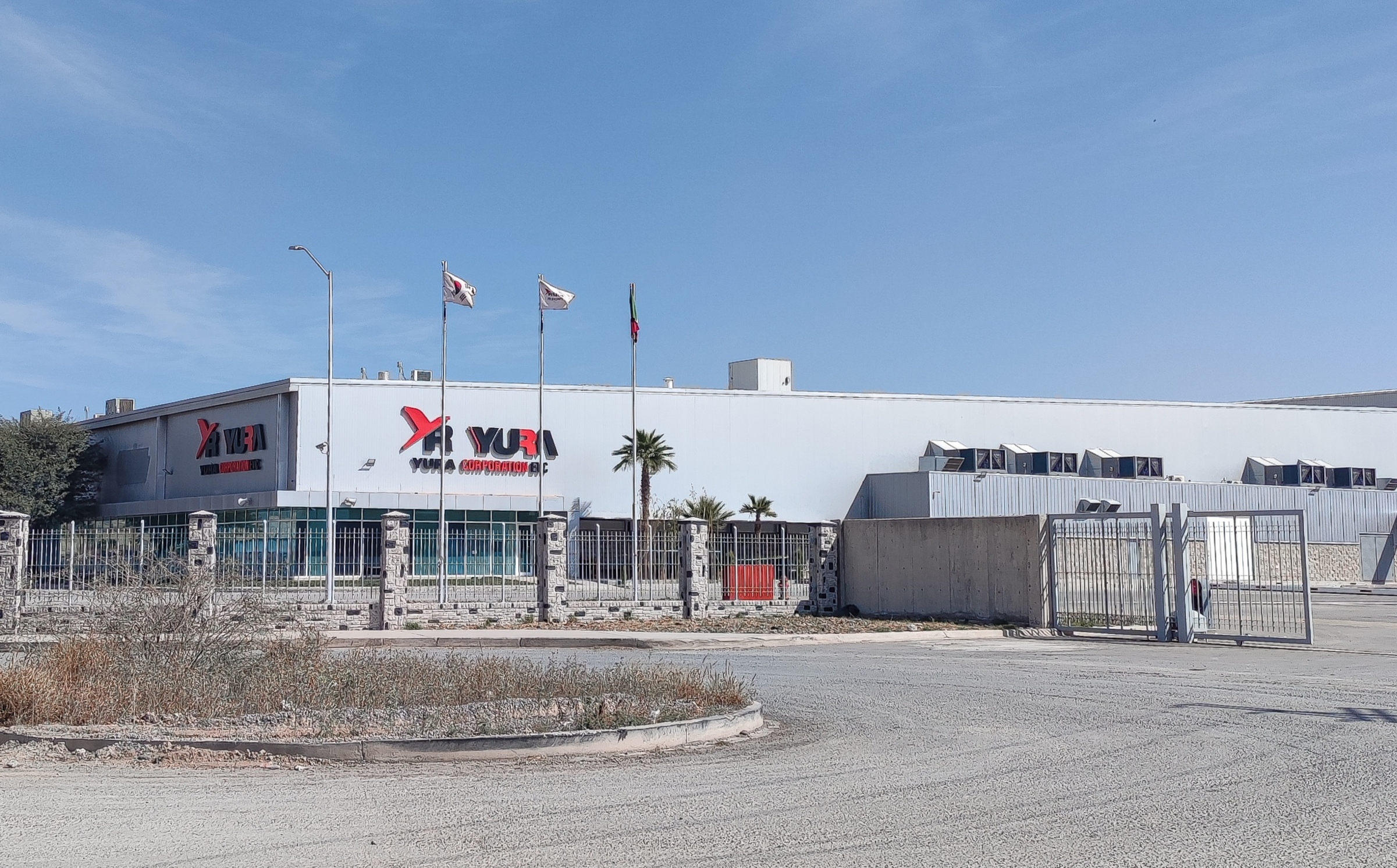 Yura crece en La Laguna con plantas satélite