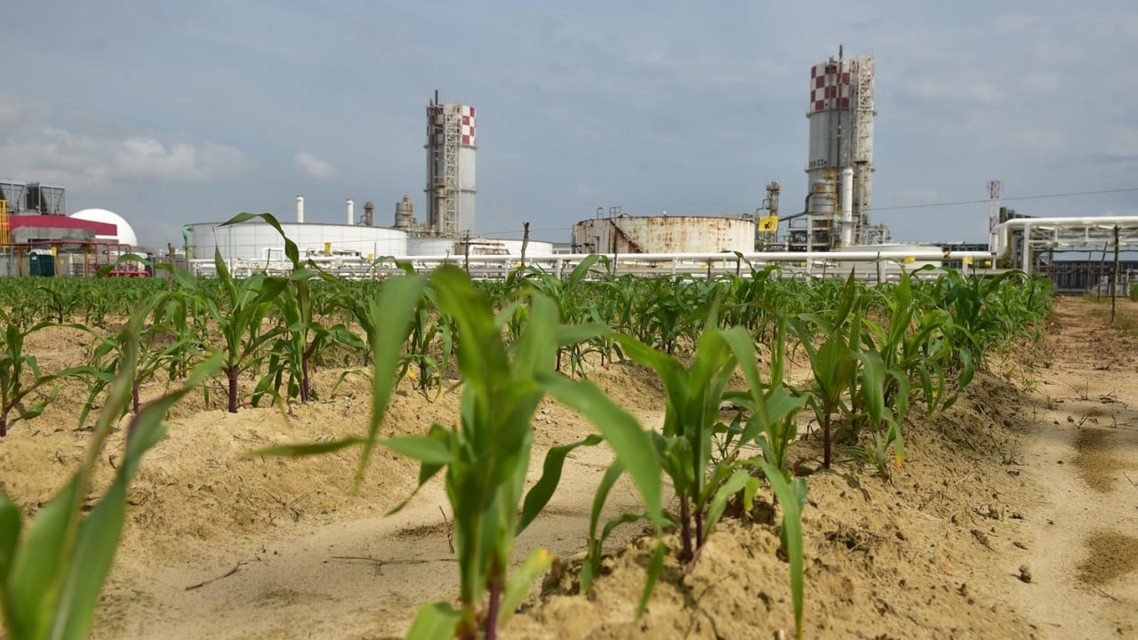 Anuncian inversión de mil millones de dólares para planta de fertilizantes en Lerdo