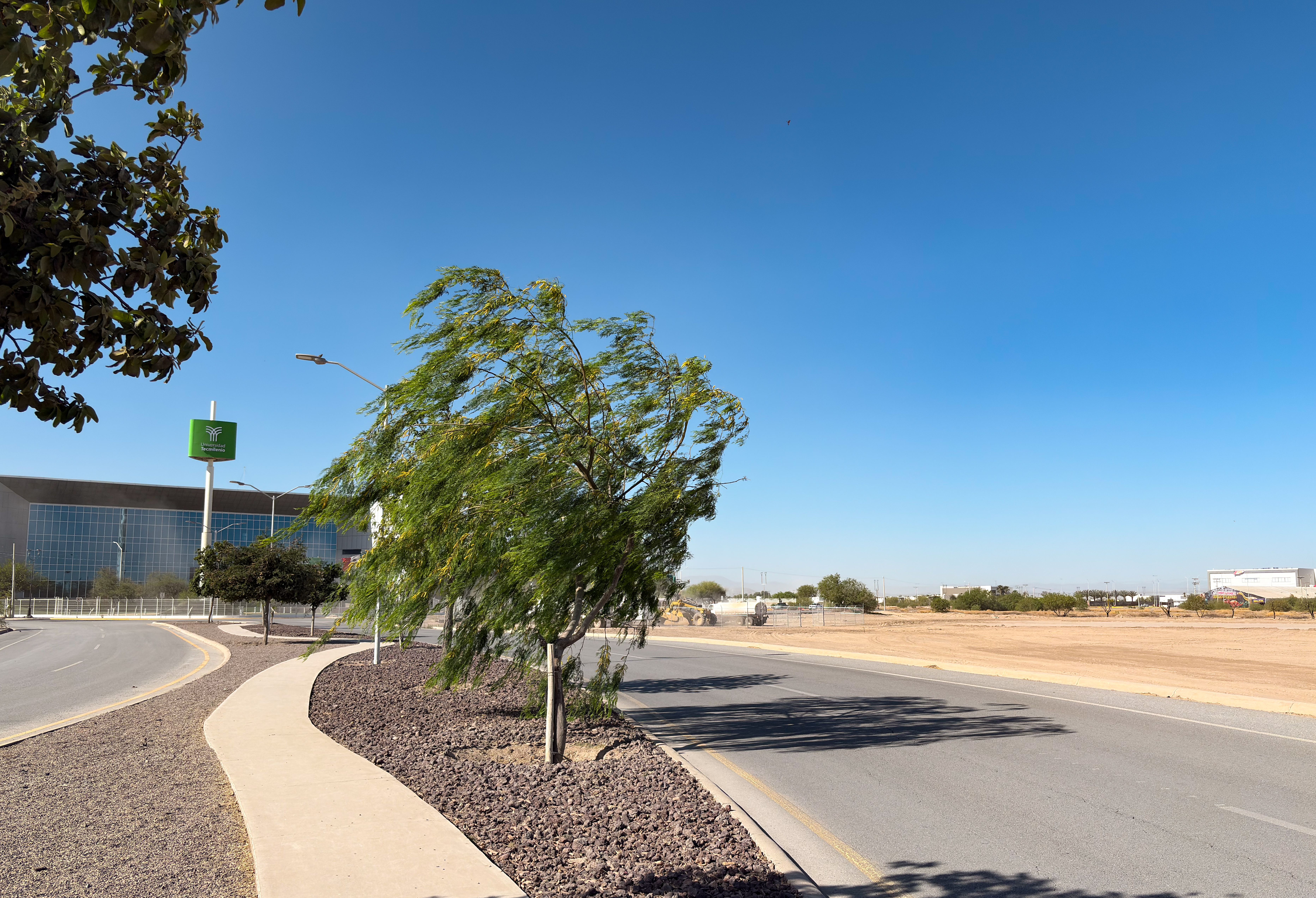 Distrito Las Villas: el nuevo desarrollo de lujo al norte de Torreón