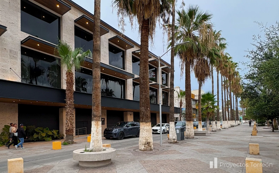 Regeneración del Paseo Morelos: Proyecto ganador se anuncia en agosto